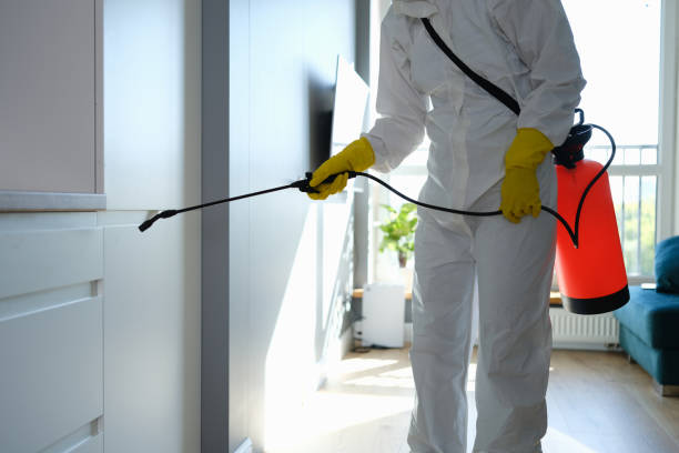 Best Toxic Mold Removal  in Silver City, NM