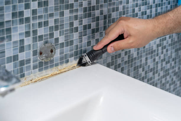 Professional Mold Removal in Silver City, NM